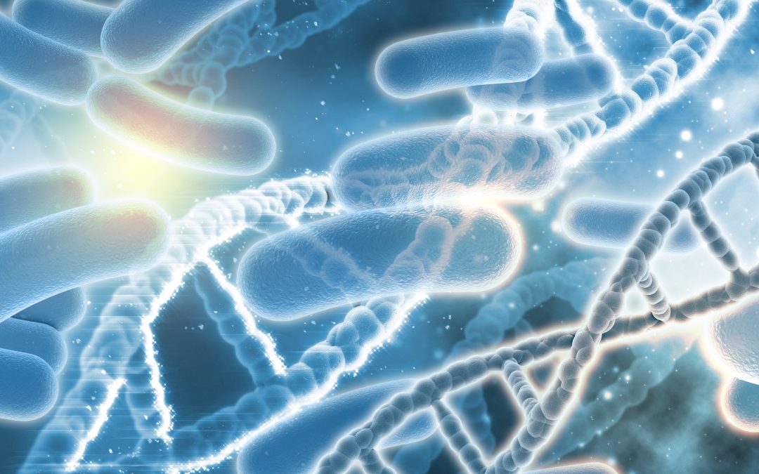 Influence of gut microbiota on the development of most prevalent neurodegenerative dementias and the potential effect of probiotics in elderly A scoping review