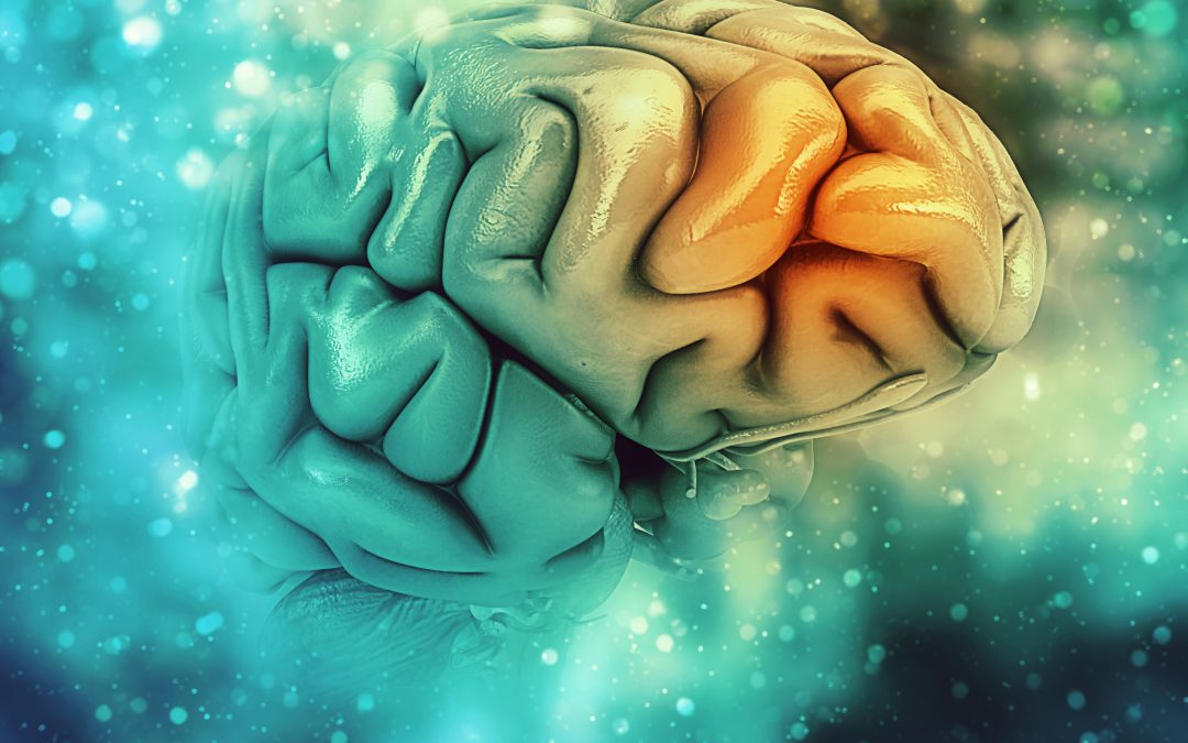 Clinical applicability of the BT2-NPS for assessing neuropsychiatric symptoms across the Alzheimer’s disease continuum